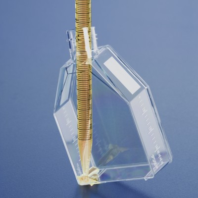 Tissue culture flask 25 cm² / vent screw cap, TC treated - Butelki do hodowli 25 cm² z wentylacją, TPP