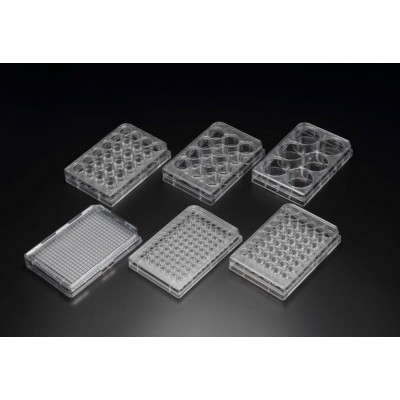 Cell Culture Plate, PS, 384 well, 85.4x127.6mm, Flat Bottom, TC treated, Sterile, SPL, 40 szt.