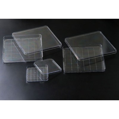 Square Dish, PS, 243x243x19.30, 500cm3, Sterile, SPL, 20 szt.