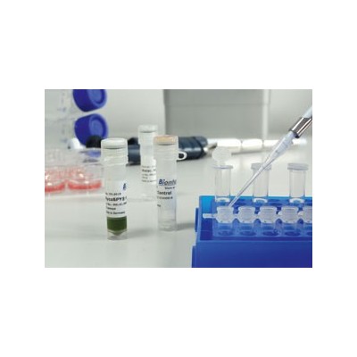 MycoSPY® Master Mix PCR Kit, 50 assays - Zestaw PCR do detekcji mykoplazmy w hodowlach komórkowych, 50 testów