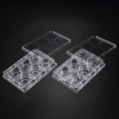 Confocal Plate Flux bottom, Adhesion Type, Clear, PS/FLux, 85.4x127.6mm, 35well, 20Ø , Confocal Region 3.14cm², 4 szt.